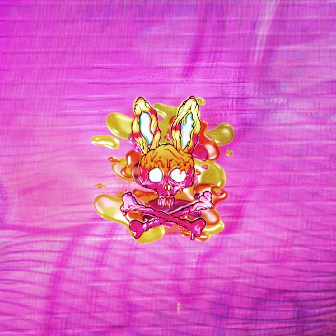 Psycho Bunny LED Wall & Audio System Installation