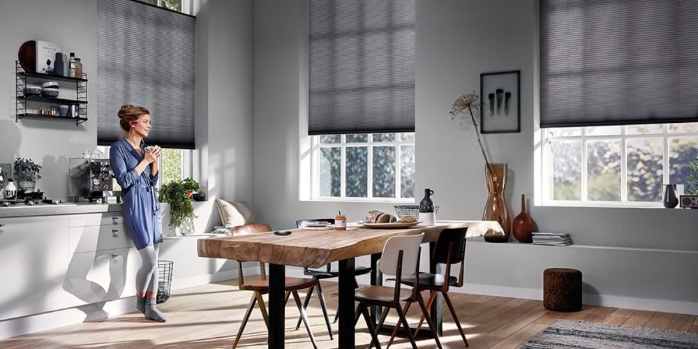 Motorized Shades for Smart Homes