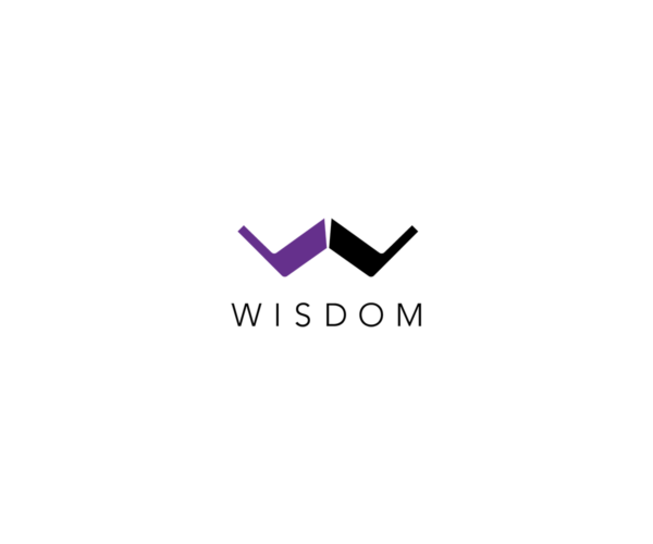 Wisdom Audio Home Theater Installation